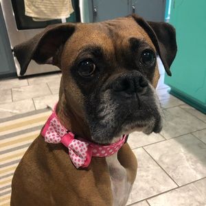 Meet your Posher, Kristin